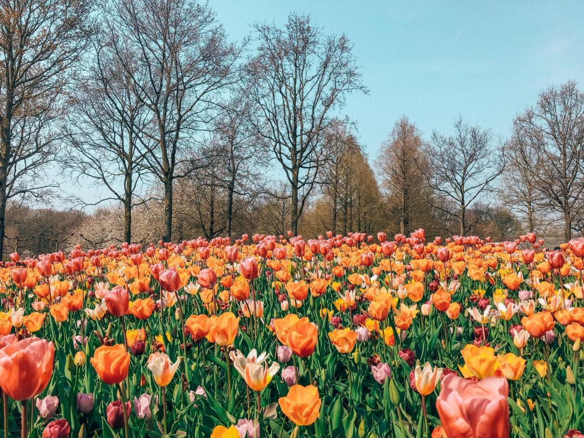 Hotel Lowietje Lisse - Keukenhof Экстерьер фото